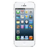 Apple iPhone 5 16Gb white - Тамбов